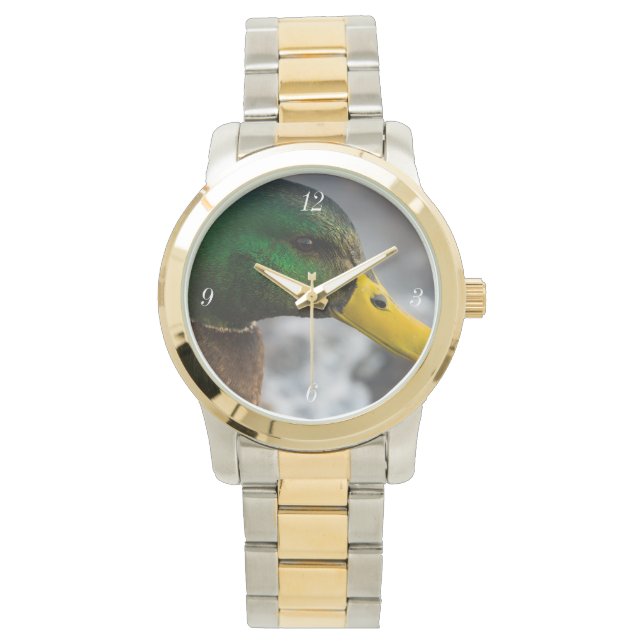 Mannelijke Wilde Eend Portret Horloge (Voorkant)