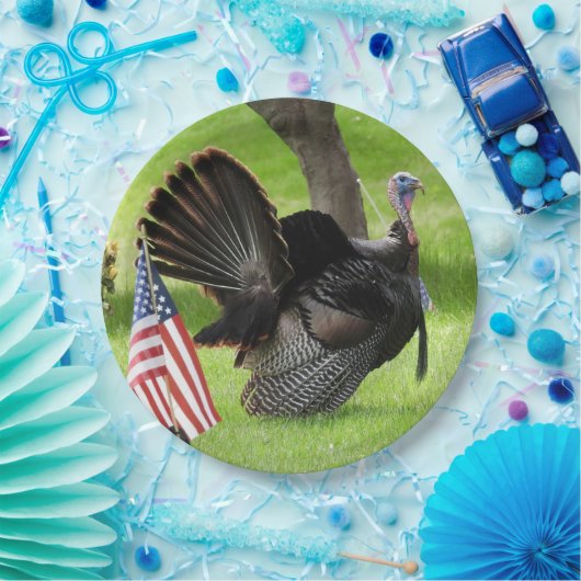 Mannelijke wilde kalkoen met Amerikaanse vlag papi Papieren Bordje (Feest)