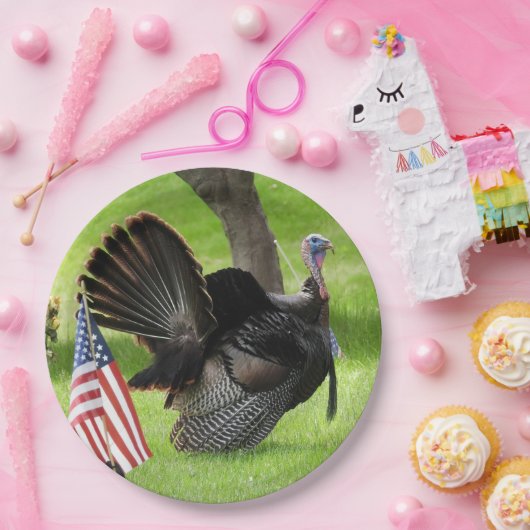 Mannelijke wilde kalkoen met Amerikaanse vlag papi Papieren Bordje (Feest)