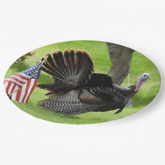 Mannelijke wilde kalkoen met Amerikaanse vlag papi Papieren Bordje (Gekanteld)