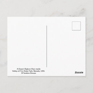 Mannelijke Woestijn Bighorn Schaap - III Briefkaart
