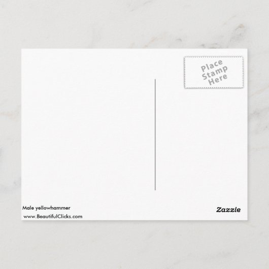 Mannelijke yellowhammer briefkaart (Achterkant)