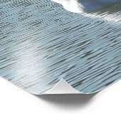 Mannelijke zwaan foto afdruk (Hoek)