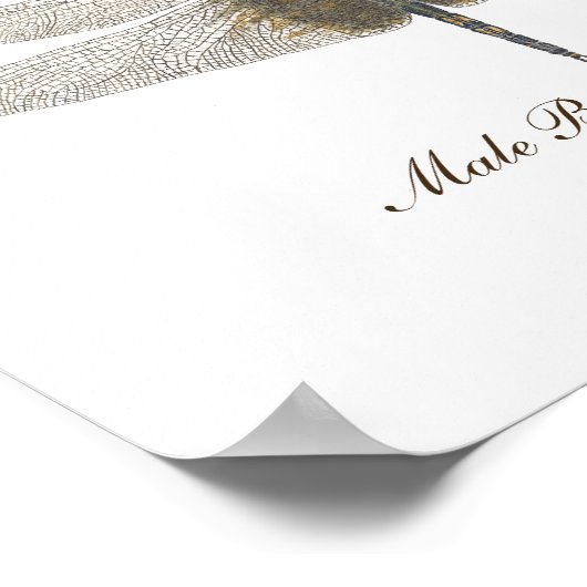 Mannelijke zwarte zadelzakken Dragonfly waterverf Poster (Hoek)