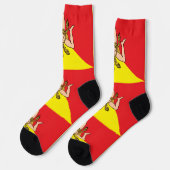 Mannen bemanningsleden sokken met de vlag van Sici (Links)