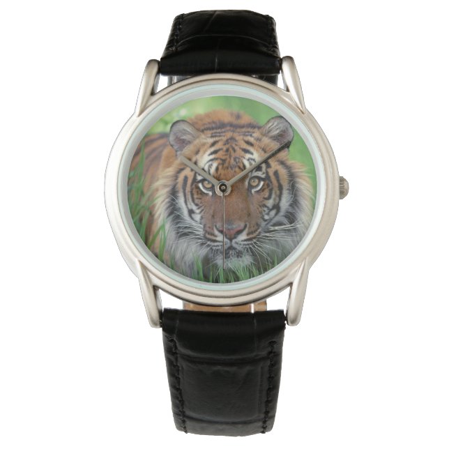 Mannen Classic Watch/Wildlife Tiger Horloge (Voorkant)