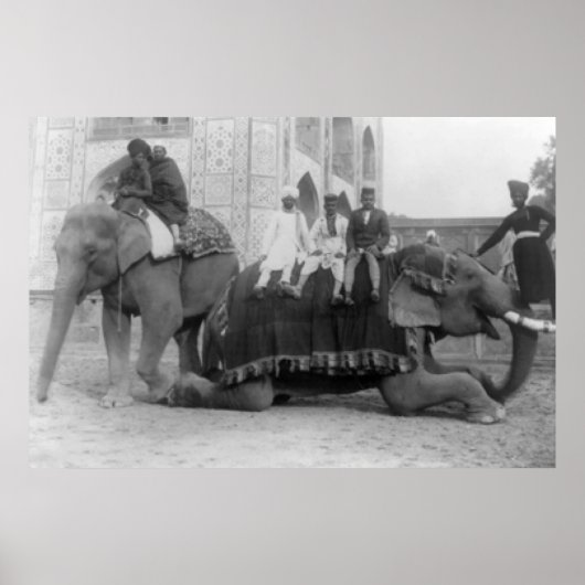 Mannen die olifanten in India fotograferenIndia Poster (Voorkant)