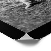 Mannen en kanon bij Fair Oaks, VA Encampment 1862 Poster (Hoek)