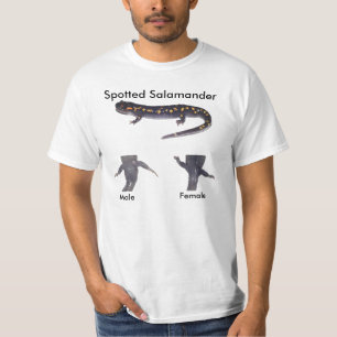Mannen en vrouwen hebben salamanders gevonden. t-shirt