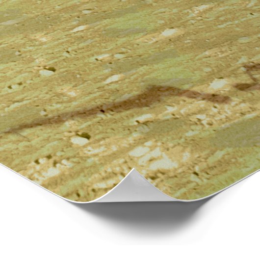 Mannen Gezocht voor de Exploratie Zuidpool - 1914 Poster (Hoek)