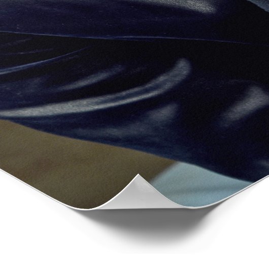  Mannen Haircut Poster (Hoek)