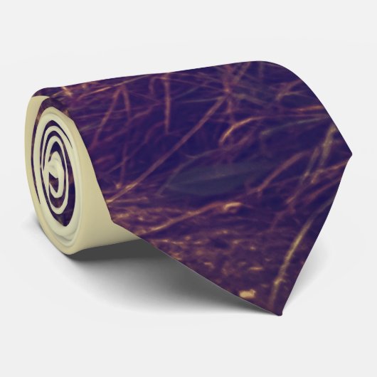 Mannen Jurk Stropdas Sunrise Pathway Walkway Path  (Opgerold)