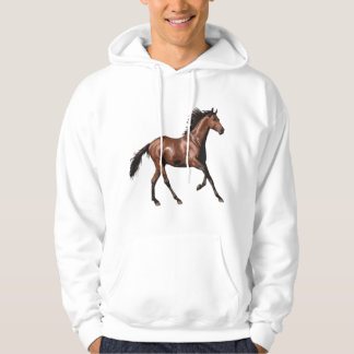 Mannen Koorts Hoodie