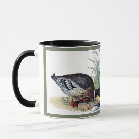 Mannen Malard Duck Birds Hunting Natuur Animals Mok (Links)