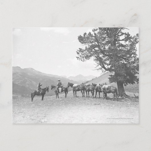 Mannen met pakpaarden die over een heuvel heen kij briefkaart (Voorkant)