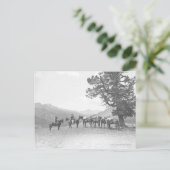 Mannen met pakpaarden die over een heuvel heen kij briefkaart (Staand voorkant)