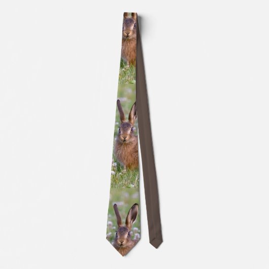 Mannen Mode Wilde Konijn Stropdas (Voorkant)