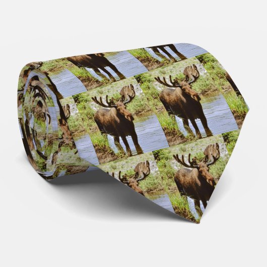 Mannen Moose Stropdas (Opgerold)