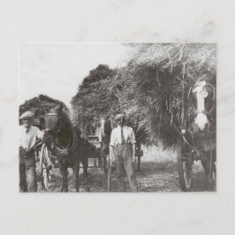 Mannen op het werk  zwart-wit - Briefkaart