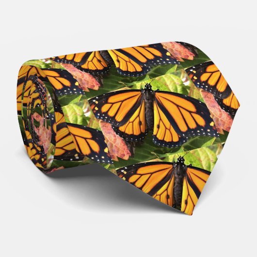 Mannen Stropdas Monarch Butterfly (Opgerold)