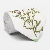 Mannen stropdas, Schots Thistle Stropdas (Opgerold)