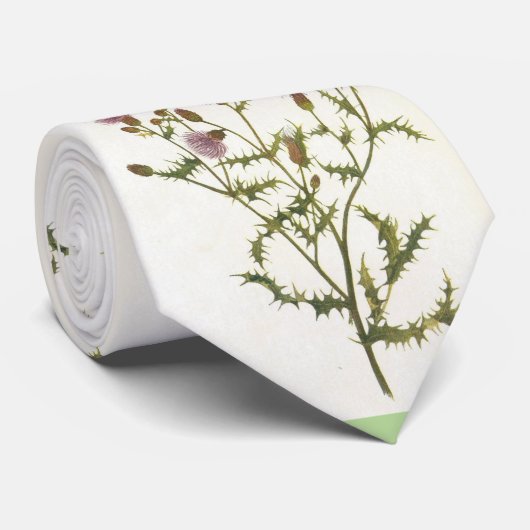 Mannen stropdas, Schots Thistle Stropdas (Opgerold)