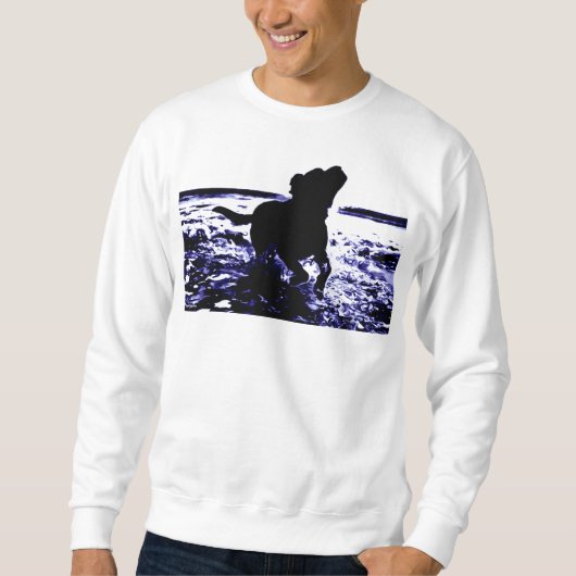 Mannen sweatshirt zwart lab in water (Voorkant)