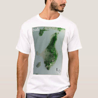 Mannen T-shirt BALI