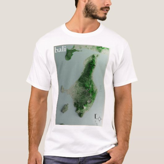 Mannen T-shirt BALI (Voorkant)