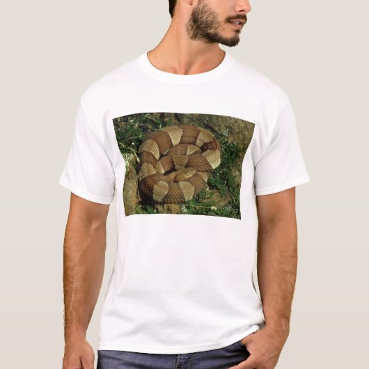 mannen t-shirt met brede bovenlaag (Voorkant)