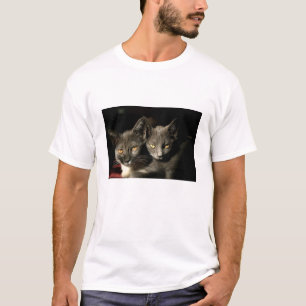 Mannen Twee grijze katten T-shirt