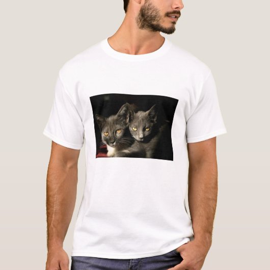 Mannen Twee grijze katten T-shirt (Voorkant)
