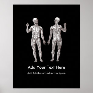 Mannen van de spieren - Anatomie van het menselijk Poster