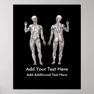 Mannen van de spieren - Anatomie van het menselijk Poster