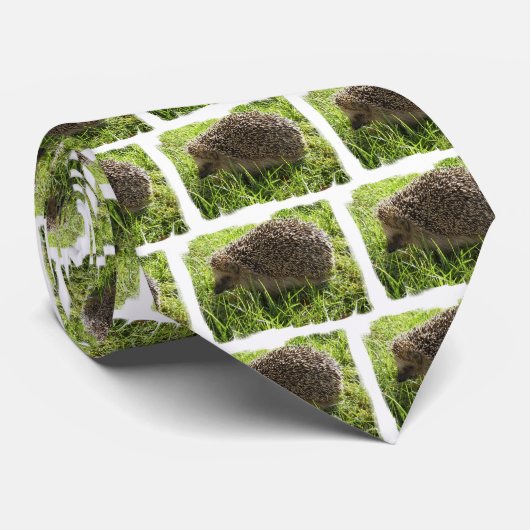 Mannen van Egel Necktie Stropdas (Opgerold)