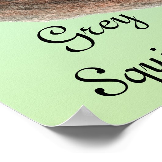 Mannen Waterverf Wildlife Grijze eekhoorn Poster (Hoek)