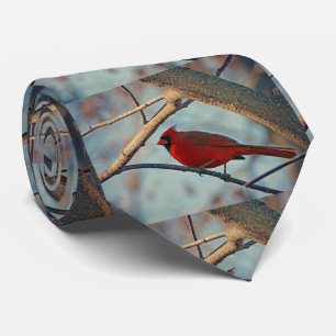 mannenkardinaal stropdas