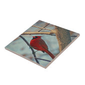  mannenkardinaal tegeltje (Zijkant)