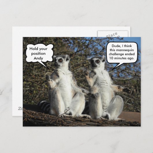 Mannequin Challenged Lemurs Briefkaart (Voorkant / Achterkant)