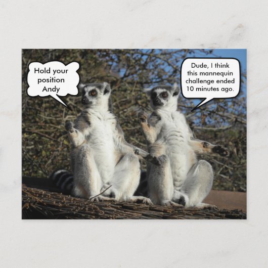 Mannequin Challenged Lemurs Briefkaart (Voorkant)