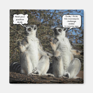 Mannequin Challenged Lemurs Magneet
