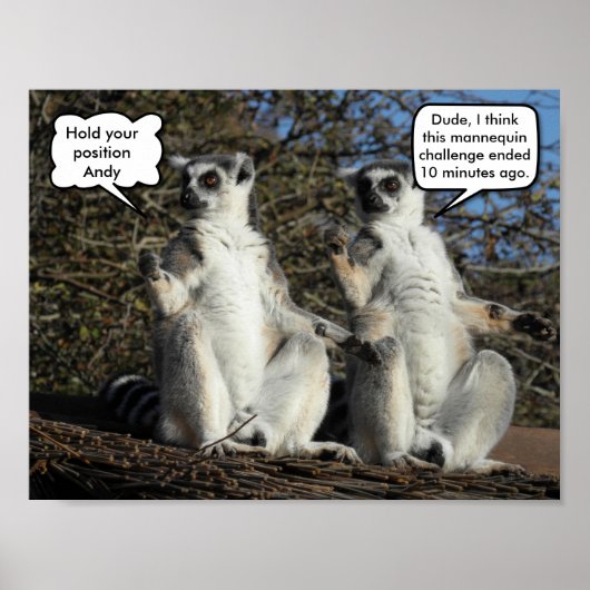Mannequin Challenged Lemurs Poster (Voorkant)