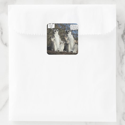 Mannequin Challenged Lemurs Vierkante Sticker (Tas)