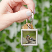 Mannetje boekvink (WILD: Fringilla coelebs) Sleutelhanger (Hand)