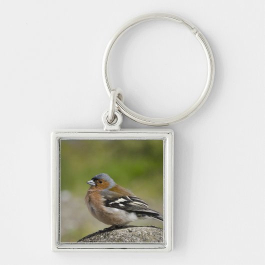 Mannetje boekvink (WILD: Fringilla coelebs) Sleutelhanger (Voorkant)