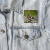 Mannetje boekvink (WILD: Fringilla coelebs) Vierkante Button 5,1 Cm (In situ)