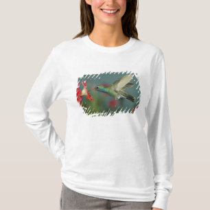 mannetje dat zich voedt met Petunia, Madera Canyon T-shirt