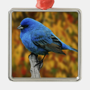 Mannetje indigo-gors, Passerina cyanea Metalen Ornament
