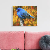 Mannetje indigogors, Passerina cyanea Canvas Afdruk (Insitu (Woonkamer))