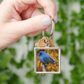 Mannetje indigogors, Passerina cyanea Sleutelhanger (Hand)